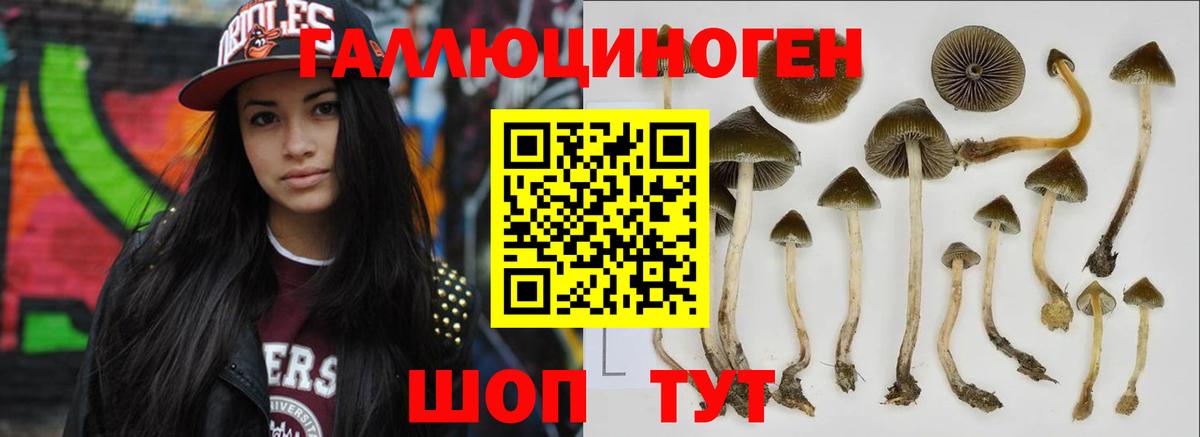 как найти закладки  Вход с VPN  Астрахань  Псилоцибиновые грибы MAGIC MUSHROOMS 